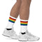 Pride Stripes Socks